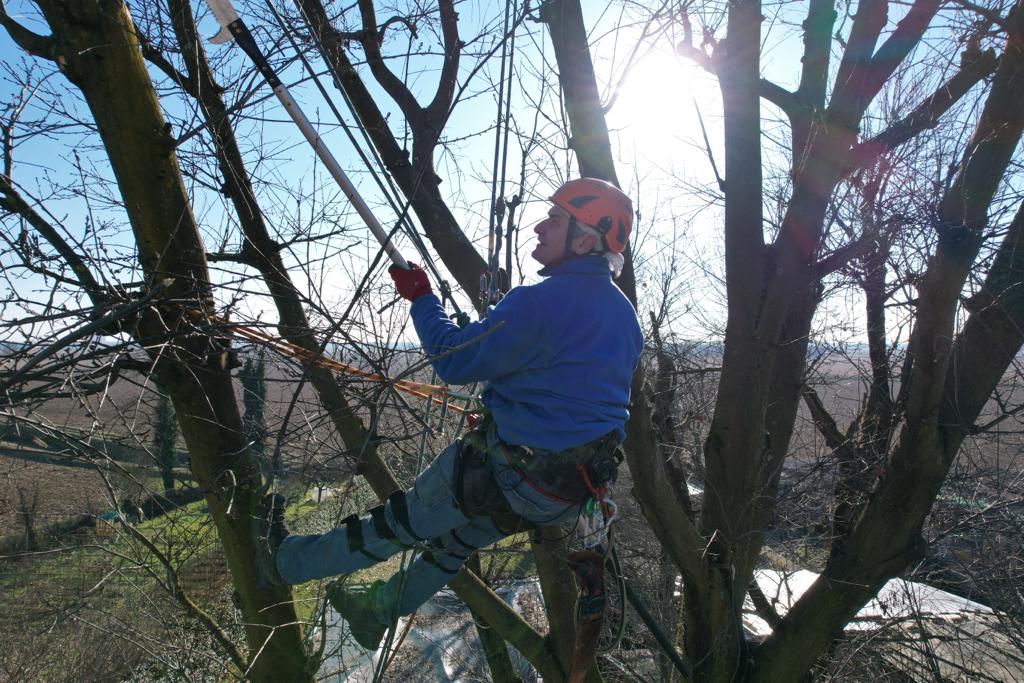 Franco Brasini, giardiniere e Tree Climber a Pavia