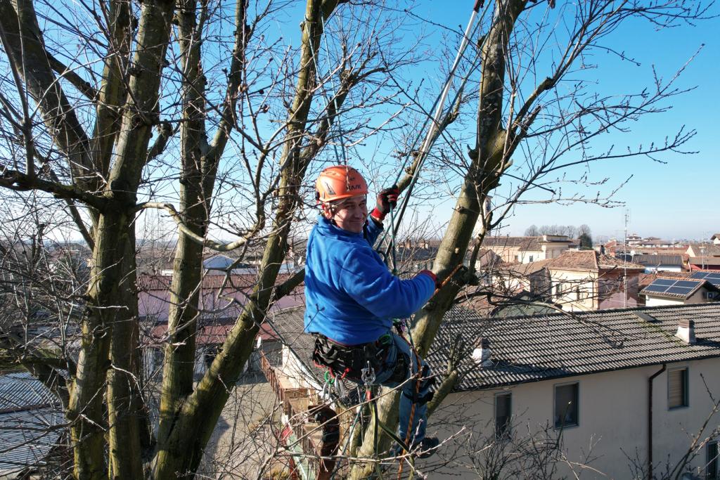 Franco Brasini, giardiniere e Tree Climber a Pavia